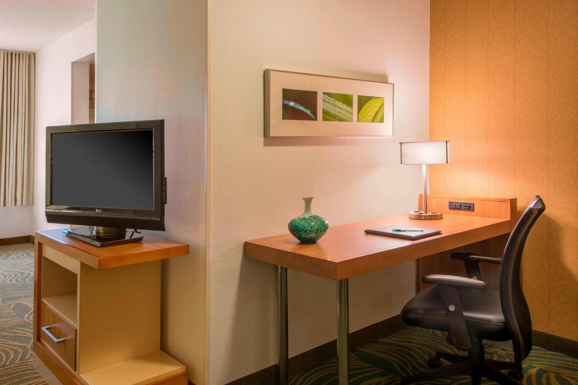 Springhill Suites By Marriott Charlotte Airport Екстер'єр фото