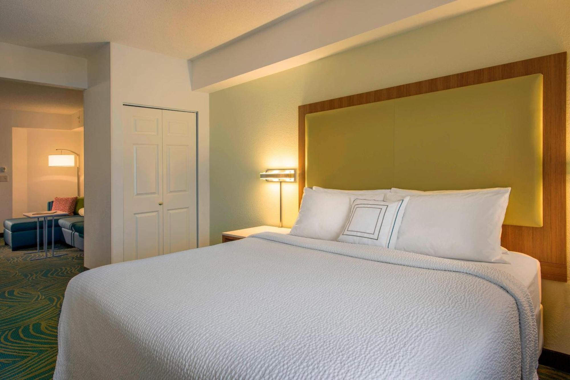 Springhill Suites By Marriott Charlotte Airport Екстер'єр фото